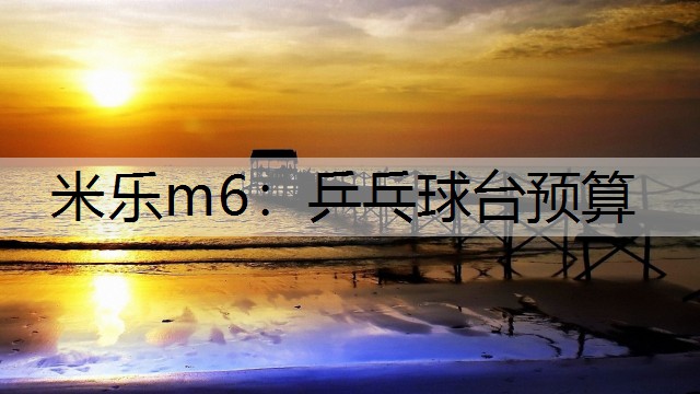 <strong>米乐m6：乒乓球台预算</strong>