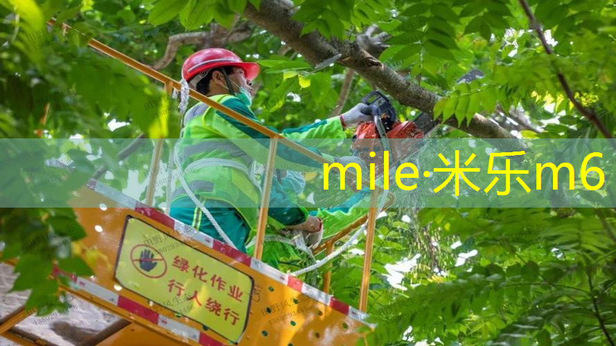 mile·米乐m6：学校器材室有网球拍吗_