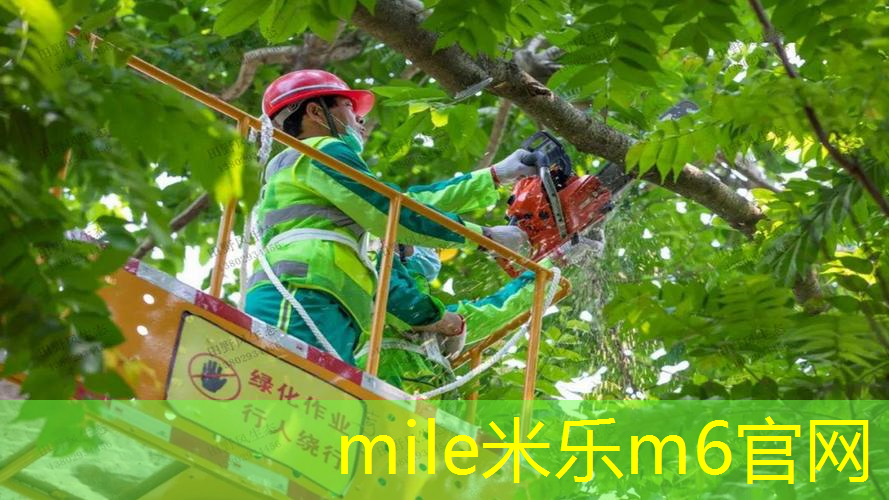 米乐：网球拍线磅数怎么知道自己合适