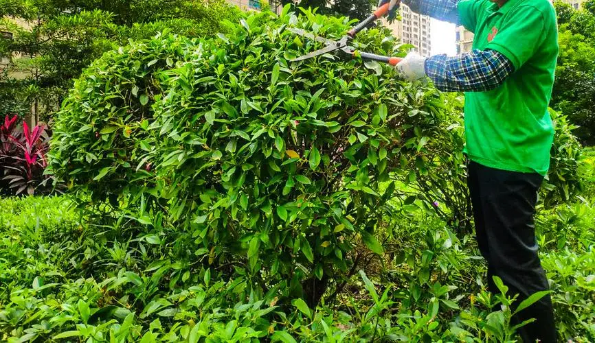 mile米乐m6官网：湛江哪里可以租网球拍的