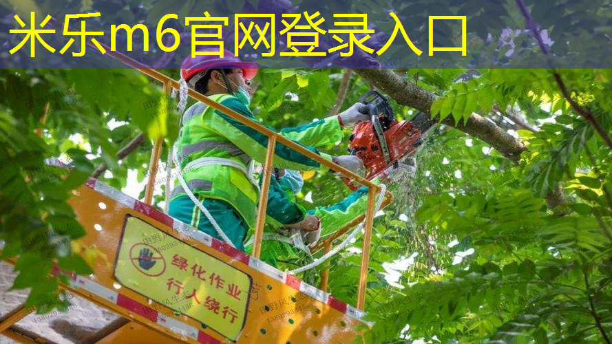 米乐m6官网登录入口：网球拍的线密密麻麻的