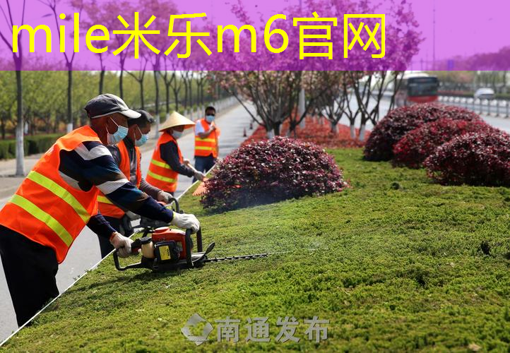 mile·米乐m6：百元入门网球拍怎么选择
