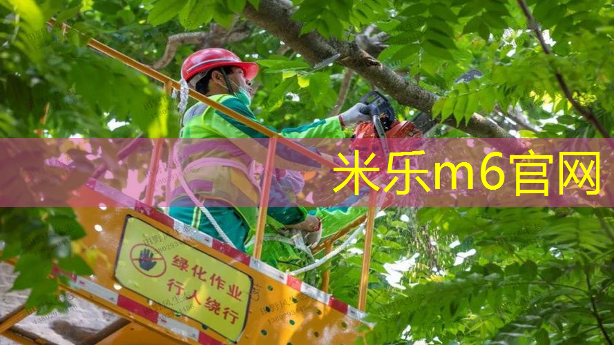 米乐m6官网登录入口：网球拍初学者男士怎么选