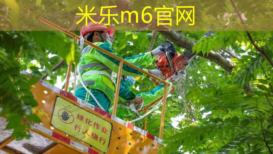 米乐：塑胶跑道材料的生态友好属性促使其在公共场所得到采用