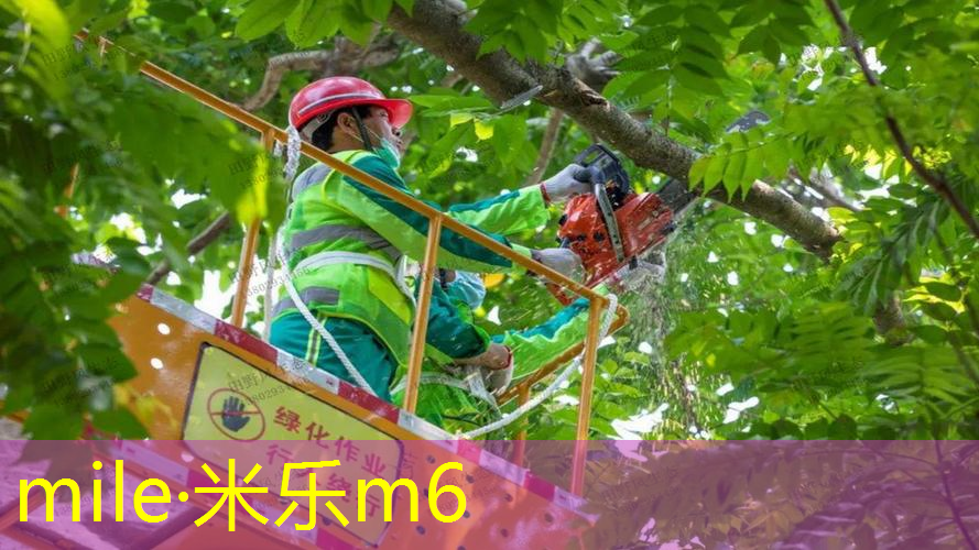 米乐m6官网：乒乓球台不平整如何调平