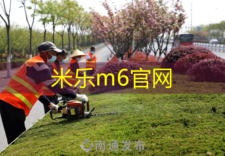 米乐：乒乓球台面灯怎么拆