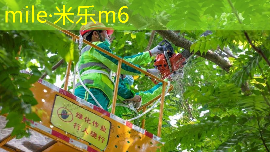 你所不知道的塑胶跑道材料：探索市场上的新材质