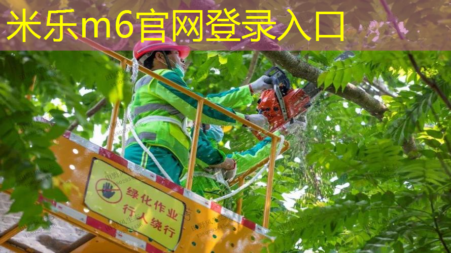 mile·米乐m6：乒乓球台的长度和宽度高度