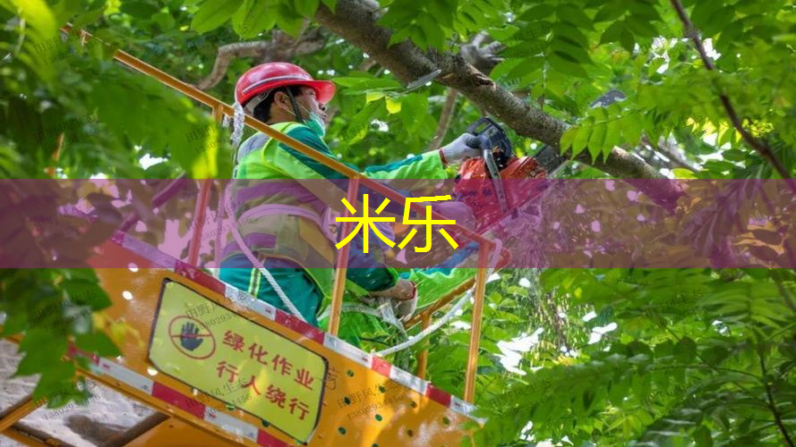 mile米乐m6官网：乒乓球台拉球要点几下才能进