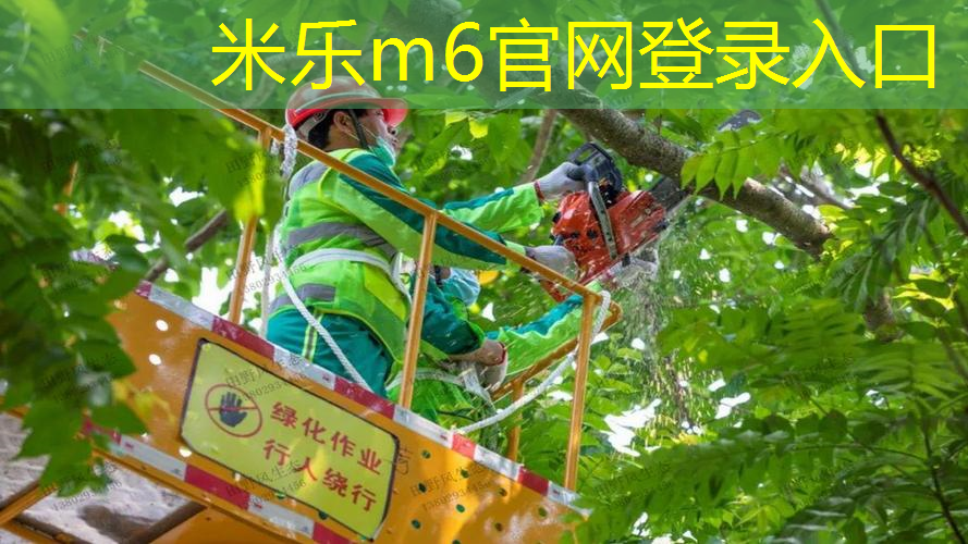 mile·米乐m6：乒乓球台的底线是哪个部分