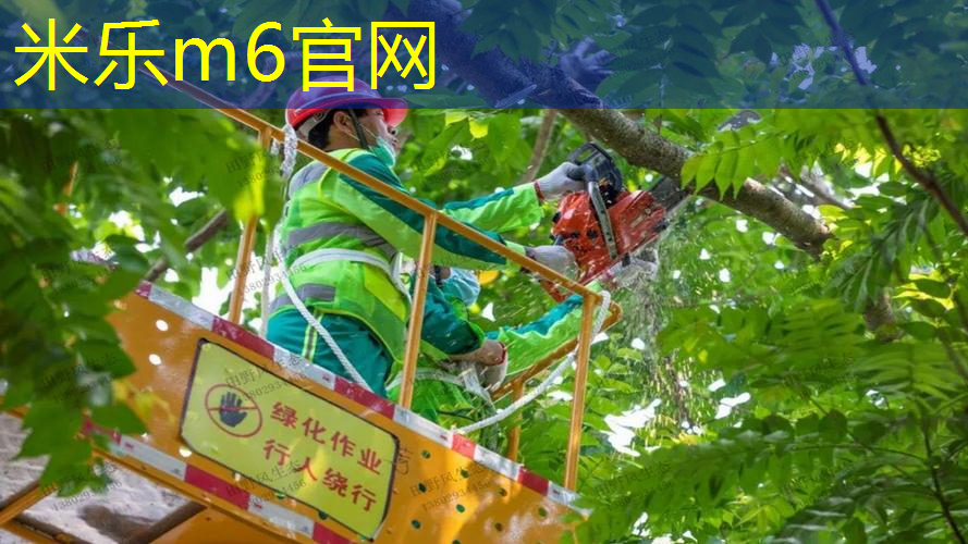 网球拍儿童50磅什么水平