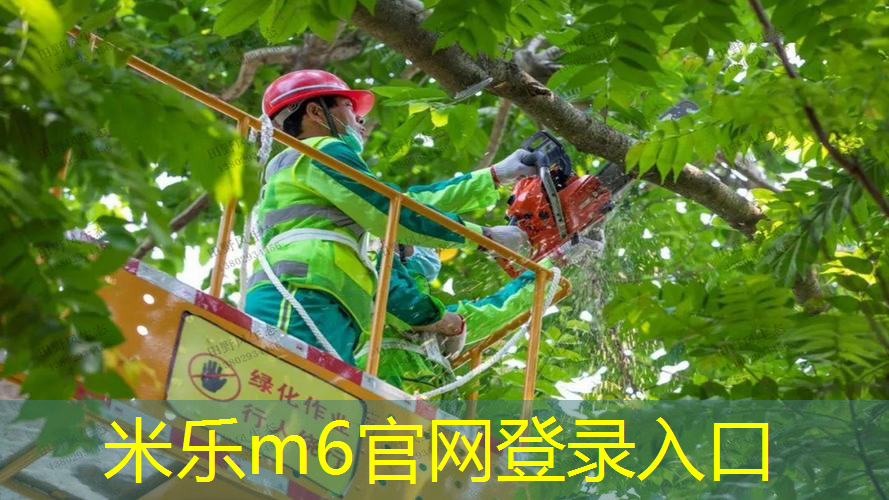 网球拍线磅数怎么知道自己合适
