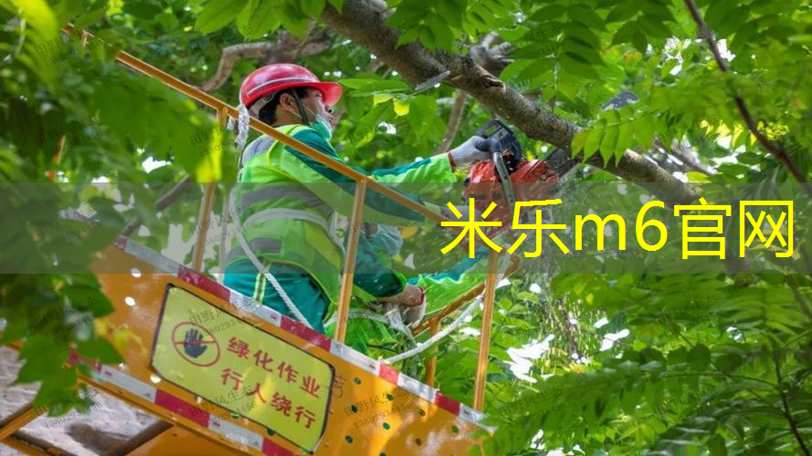 网球拍的线密密麻麻的