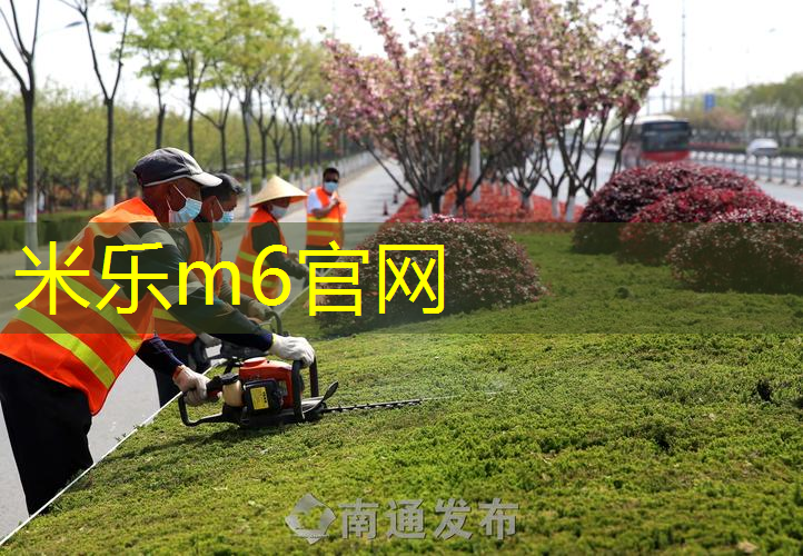 百元入门网球拍怎么选择