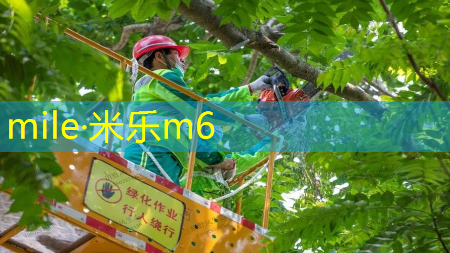网球拍初学者男士怎么选
