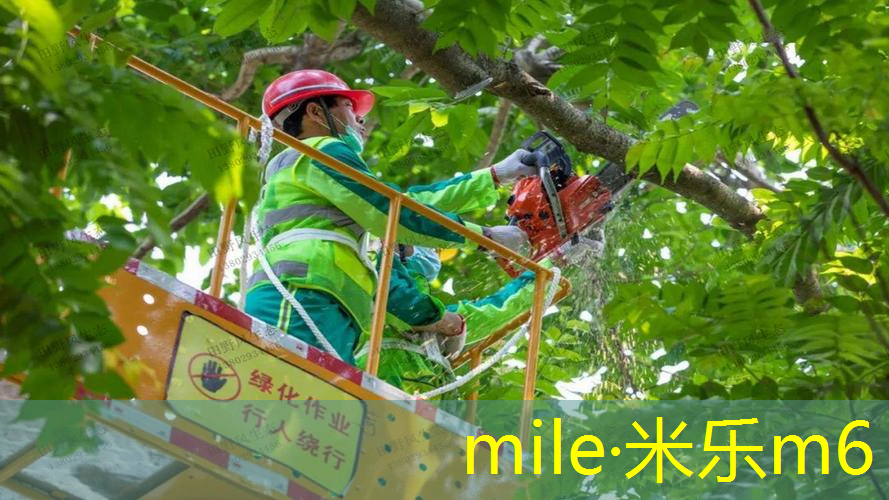 塑胶跑道材料的生态友好属性促使其在公共场所得到采用