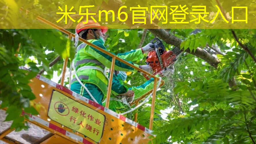 乒乓球台不平整如何调平