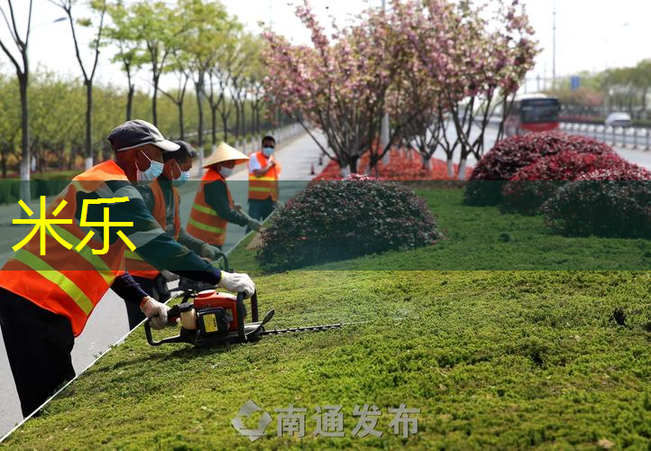 乒乓球台面灯怎么拆