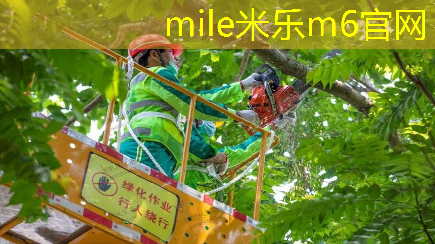 你所不知道的塑胶跑道材料：探索市场上的新材质