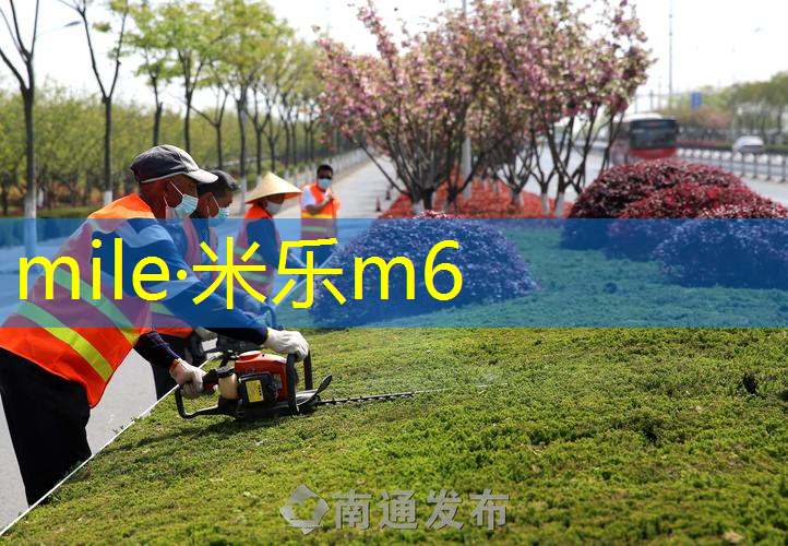 塑胶跑道材质选择指南：让你找到适合自己的材质！