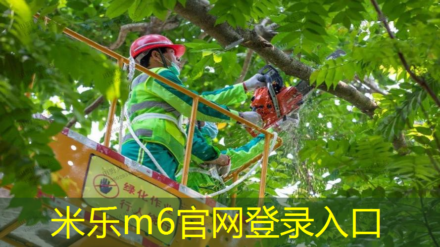 实用小贴士：如何正确判断室外体育健身器材是否超过报废时限？