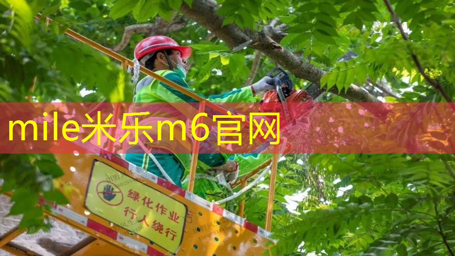 乒乓球台的长度和宽度高度